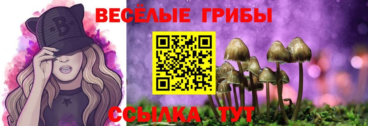 Псилоцибиновые грибы Magic Shrooms Бугуруслан